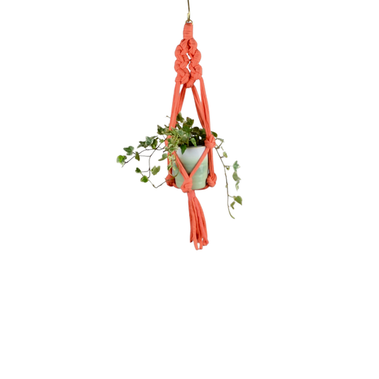 Mini Plant Hanger | Sarora Knots