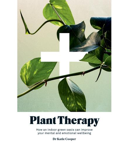 Plant Therapy | Katie Cooper